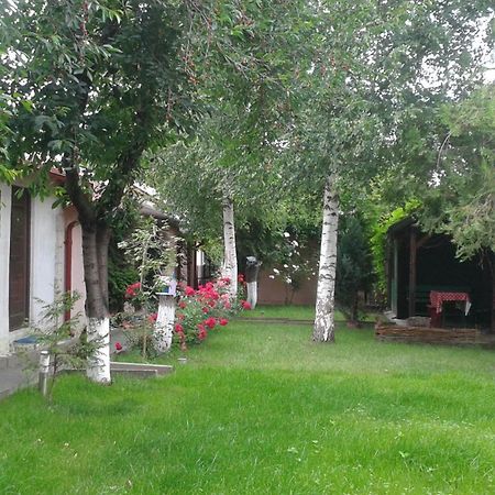 Camping Paradisul Soferilor Onesti Εξωτερικό φωτογραφία