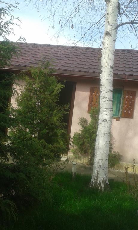 Camping Paradisul Soferilor Onesti Εξωτερικό φωτογραφία