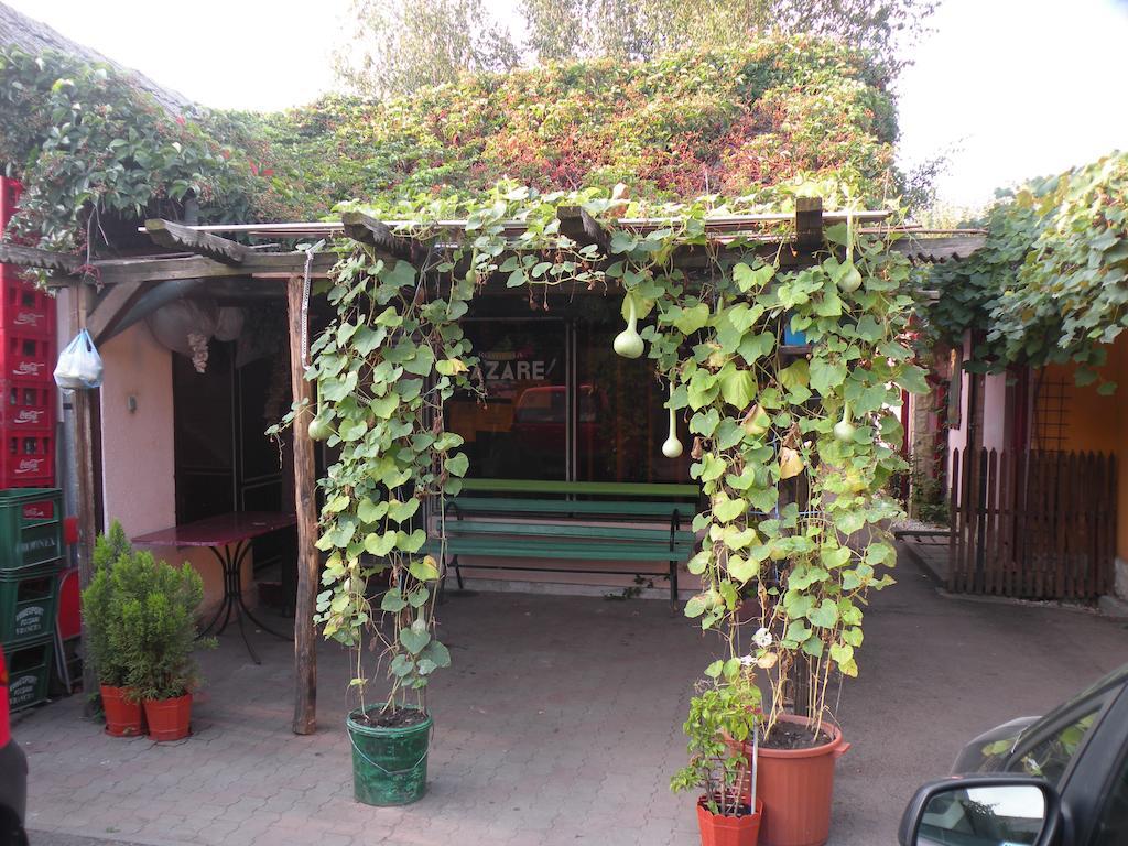 Camping Paradisul Soferilor Onesti Εξωτερικό φωτογραφία