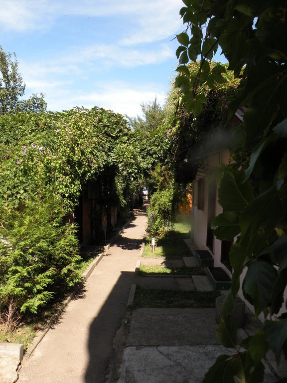 Camping Paradisul Soferilor Onesti Εξωτερικό φωτογραφία