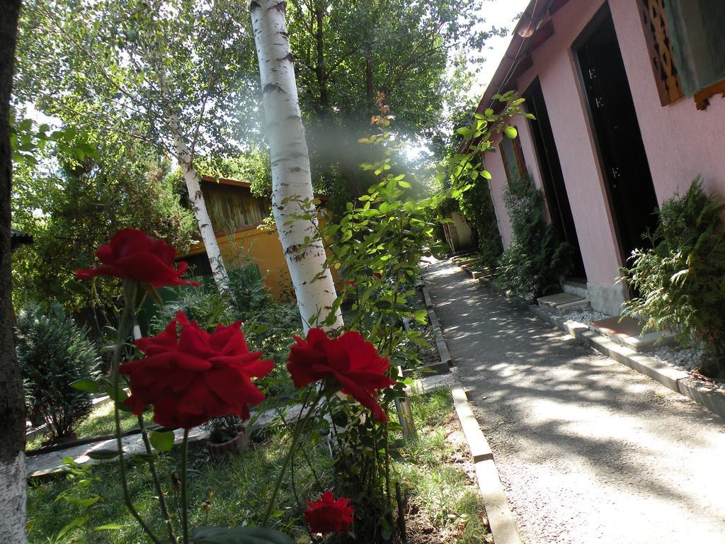 Camping Paradisul Soferilor Onesti Εξωτερικό φωτογραφία