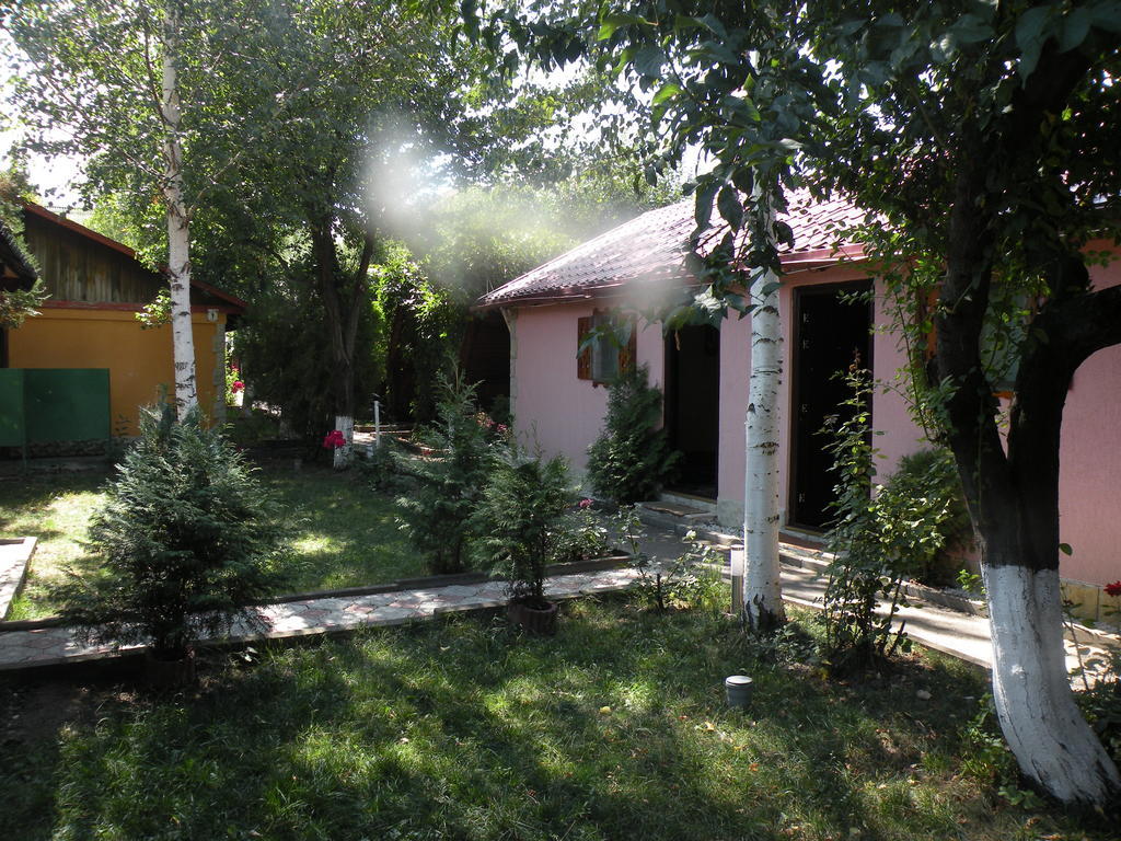 Camping Paradisul Soferilor Onesti Εξωτερικό φωτογραφία