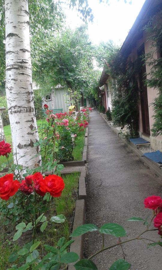 Camping Paradisul Soferilor Onesti Δωμάτιο φωτογραφία