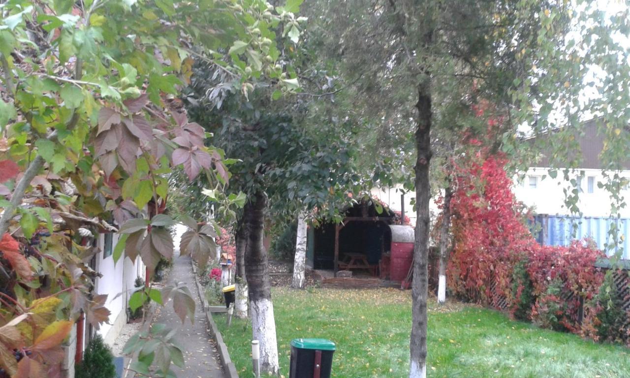 Camping Paradisul Soferilor Onesti Δωμάτιο φωτογραφία